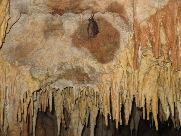 Пещера МАН янв 2008 104